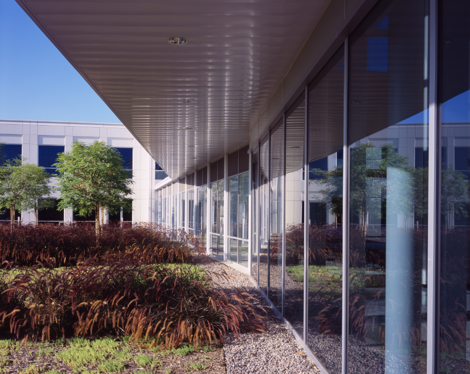windows of an office